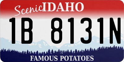 ID license plate 1B8131N