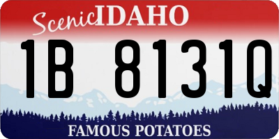 ID license plate 1B8131Q