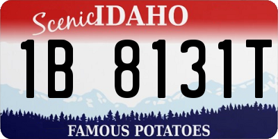 ID license plate 1B8131T