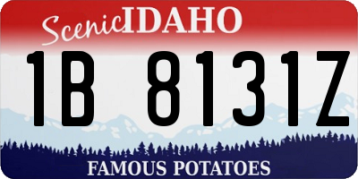 ID license plate 1B8131Z