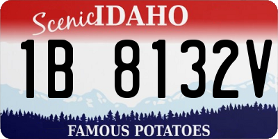 ID license plate 1B8132V