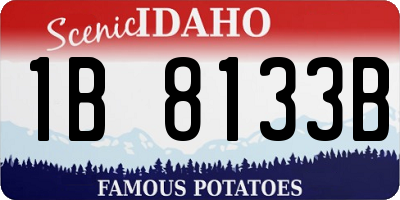 ID license plate 1B8133B
