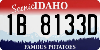 ID license plate 1B8133D