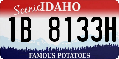 ID license plate 1B8133H