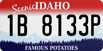 ID license plate 1B8133P