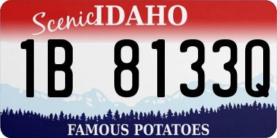 ID license plate 1B8133Q