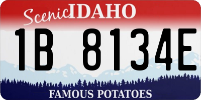 ID license plate 1B8134E