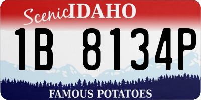 ID license plate 1B8134P
