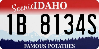 ID license plate 1B8134S