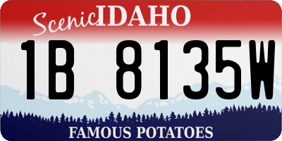 ID license plate 1B8135W