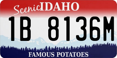ID license plate 1B8136M