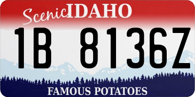 ID license plate 1B8136Z