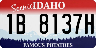 ID license plate 1B8137H
