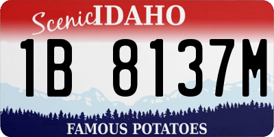 ID license plate 1B8137M
