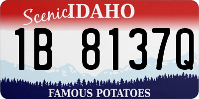 ID license plate 1B8137Q