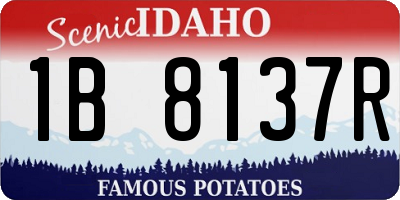 ID license plate 1B8137R