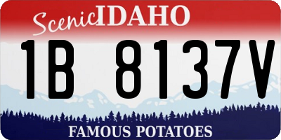ID license plate 1B8137V