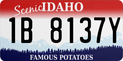 ID license plate 1B8137Y
