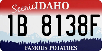 ID license plate 1B8138F