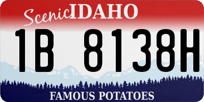 ID license plate 1B8138H