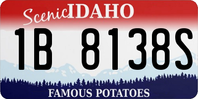 ID license plate 1B8138S