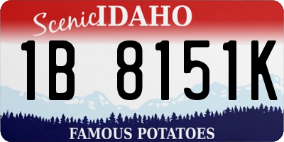 ID license plate 1B8151K
