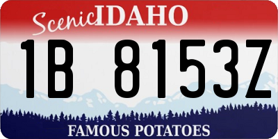ID license plate 1B8153Z