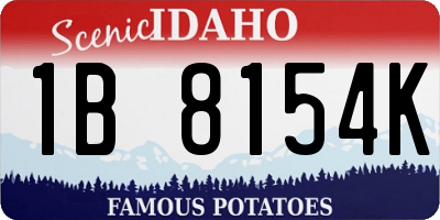 ID license plate 1B8154K