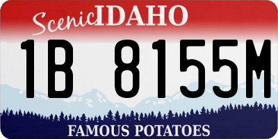 ID license plate 1B8155M