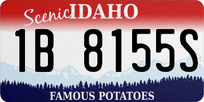 ID license plate 1B8155S