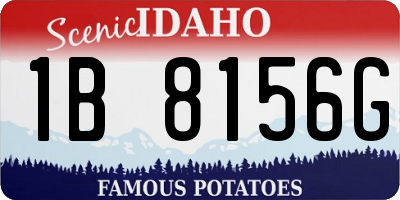 ID license plate 1B8156G