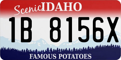 ID license plate 1B8156X