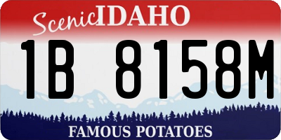 ID license plate 1B8158M