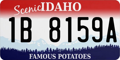 ID license plate 1B8159A