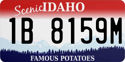 ID license plate 1B8159M