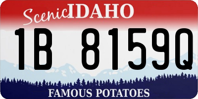 ID license plate 1B8159Q