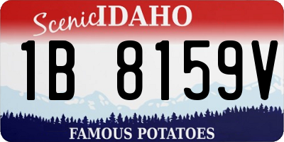 ID license plate 1B8159V