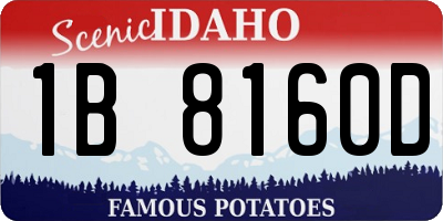 ID license plate 1B8160D