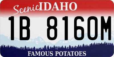ID license plate 1B8160M