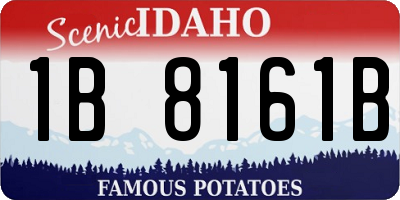 ID license plate 1B8161B