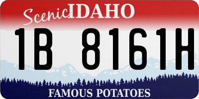 ID license plate 1B8161H