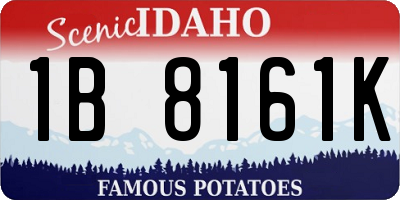ID license plate 1B8161K