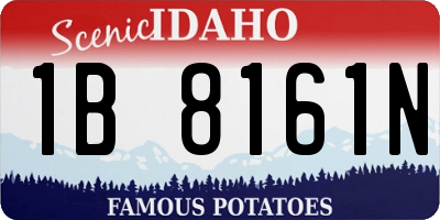 ID license plate 1B8161N