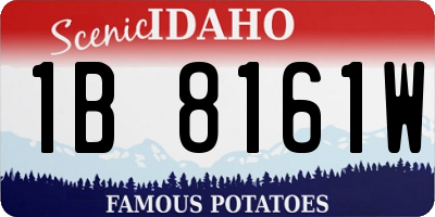 ID license plate 1B8161W