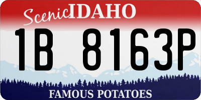 ID license plate 1B8163P