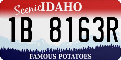 ID license plate 1B8163R