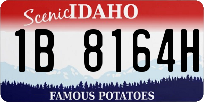 ID license plate 1B8164H