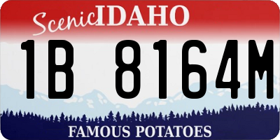 ID license plate 1B8164M