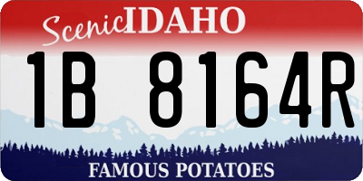 ID license plate 1B8164R