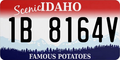 ID license plate 1B8164V